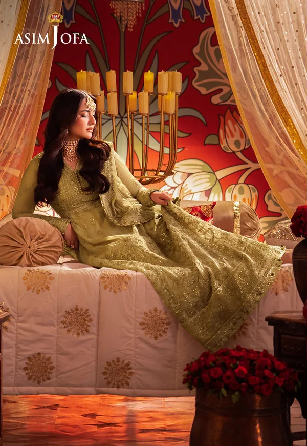 Asim Jofa | Chandni Raatein | AJCR-08