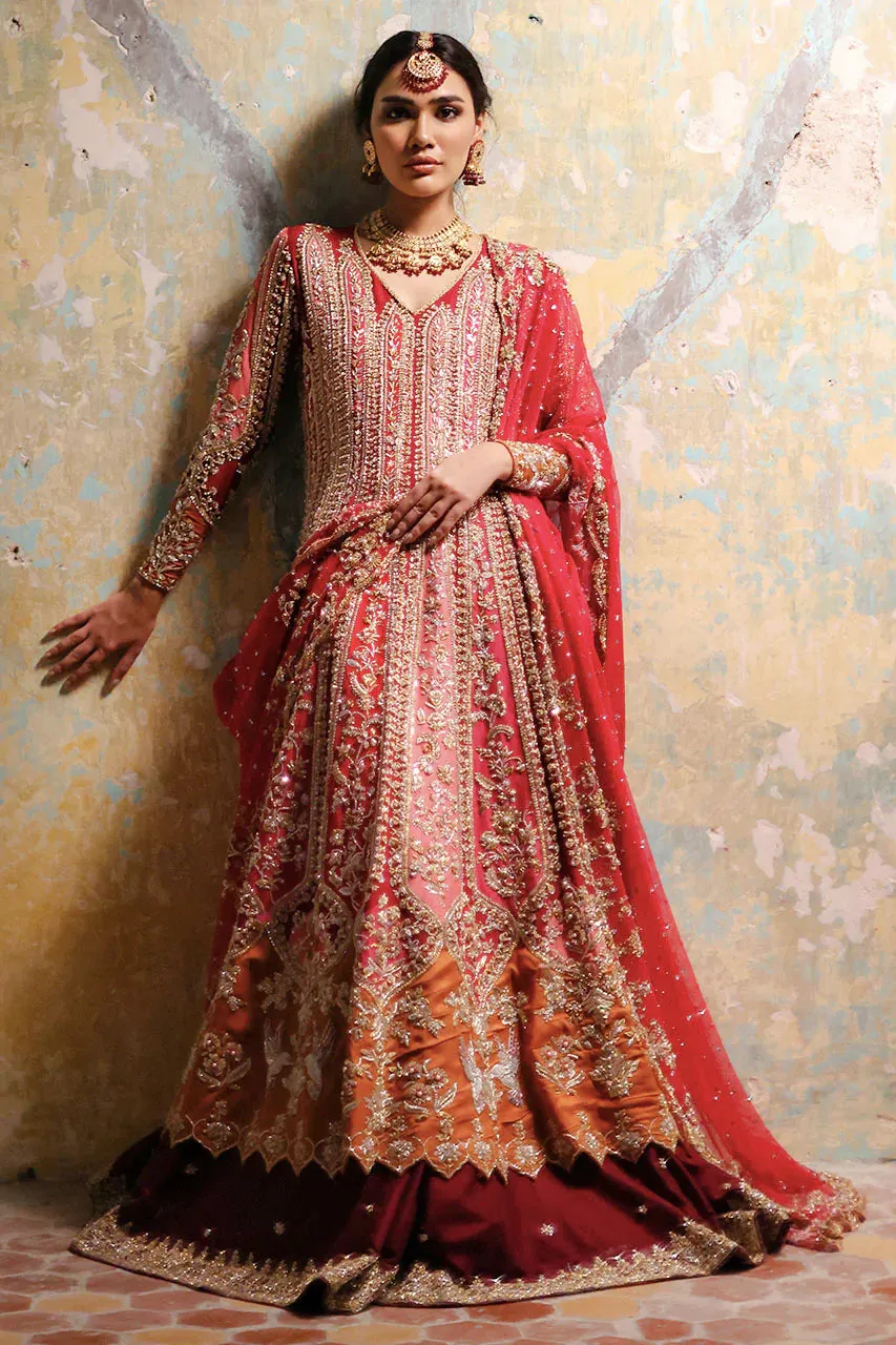 Dhanak
