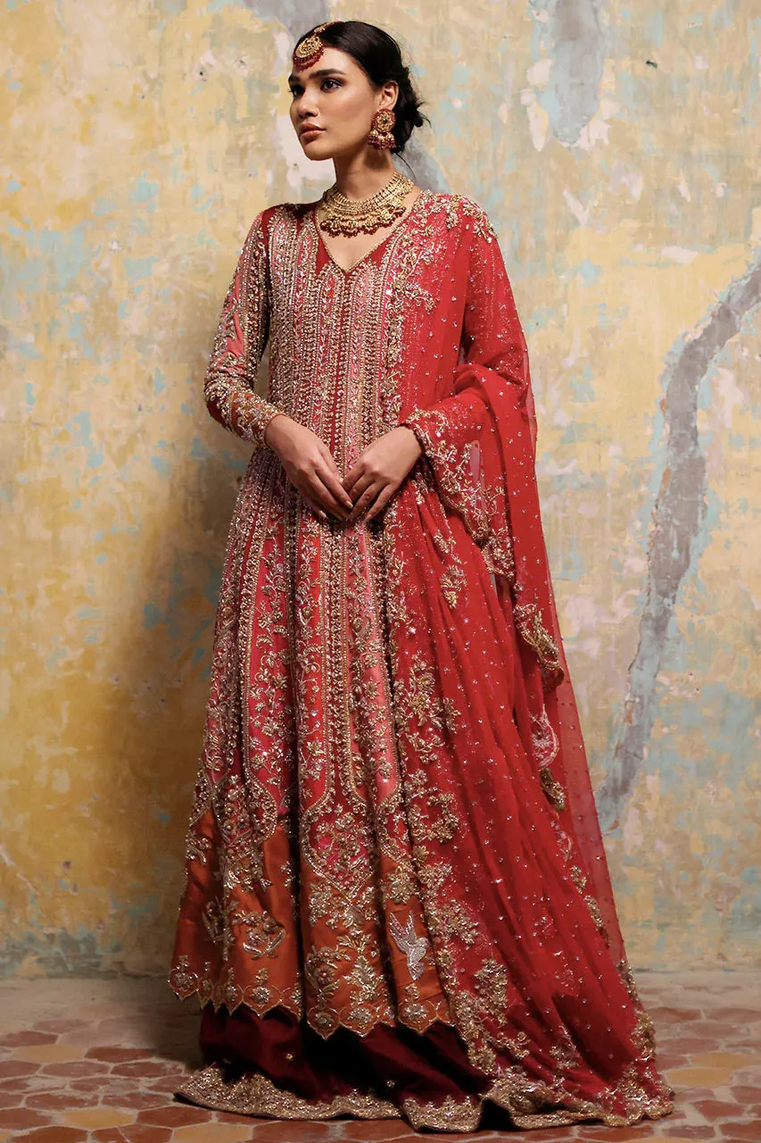 Dhanak