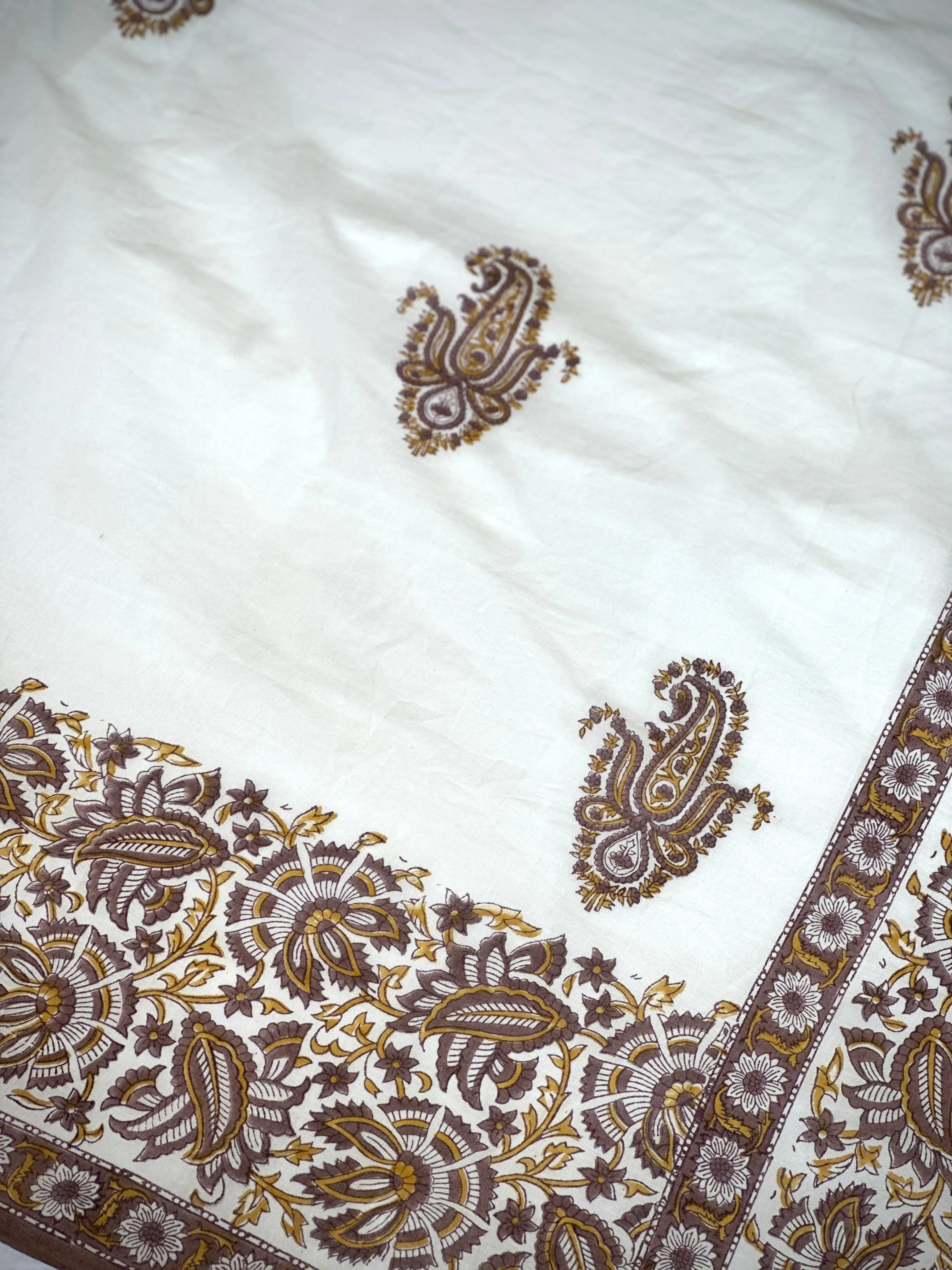 Earthen Charm | Printed Practice Saree