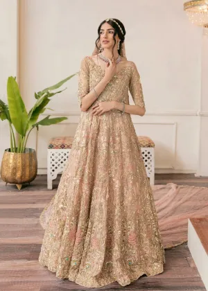 Embellished Walima Pakistani Bridal Dress in Gown Style