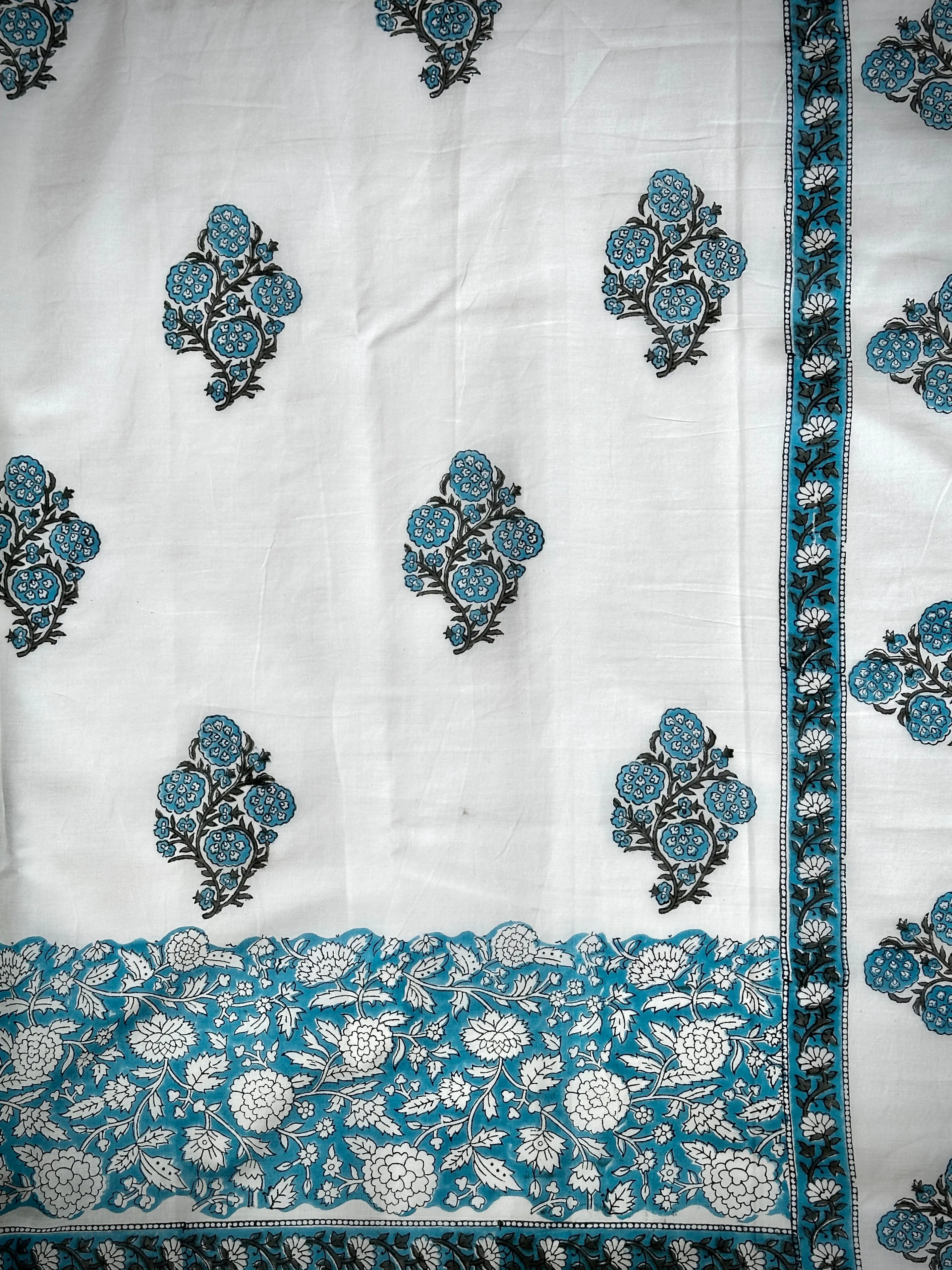 Glacier Glint | Printed Practice Saree