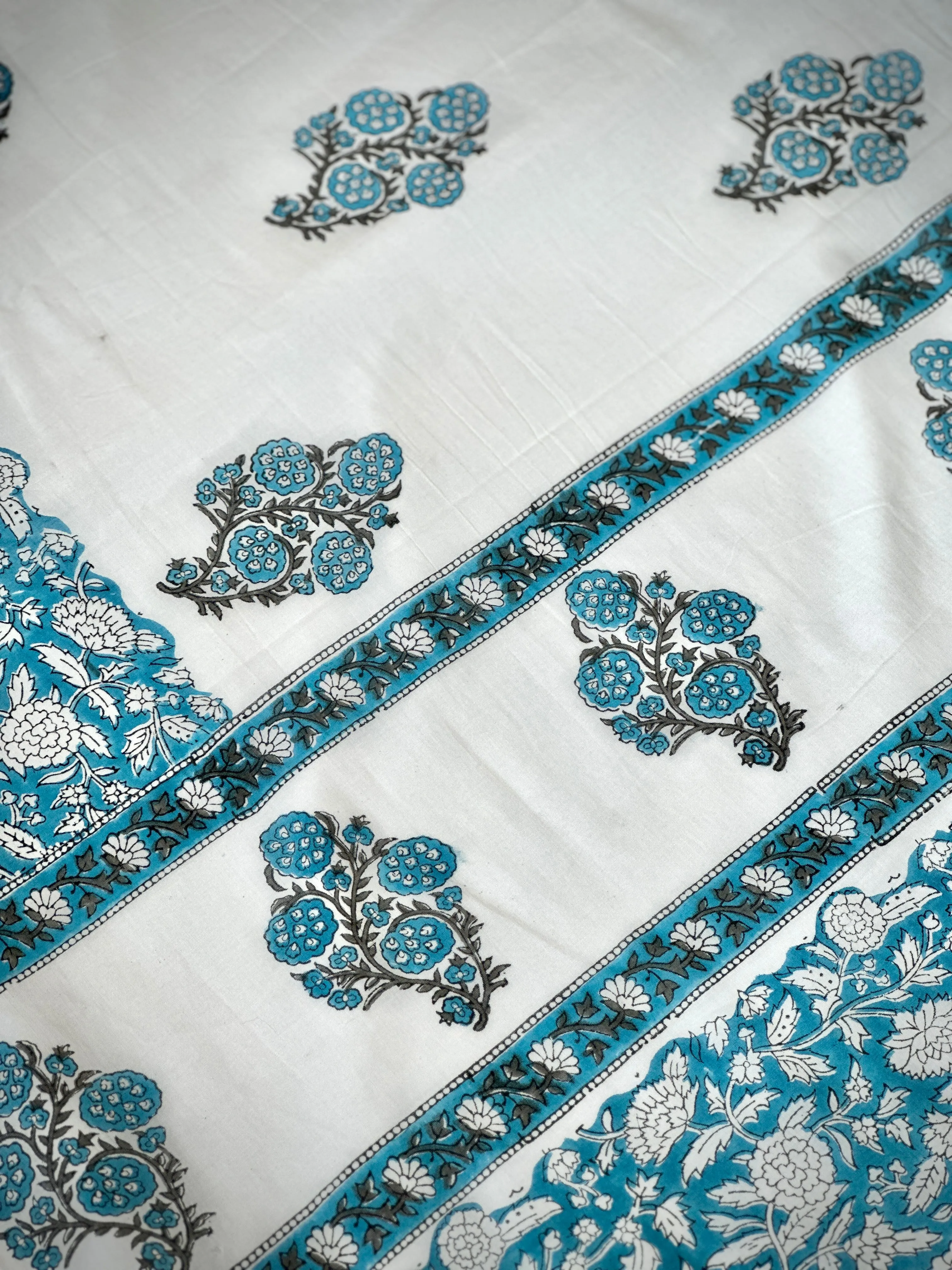 Glacier Glint | Printed Practice Saree