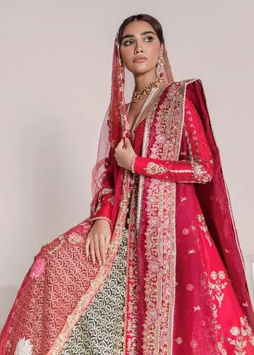 Pakistani Heavy Bridal Lehnga for Wedding #Y6240