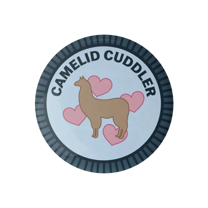 Purl Scouts Merit Badges
