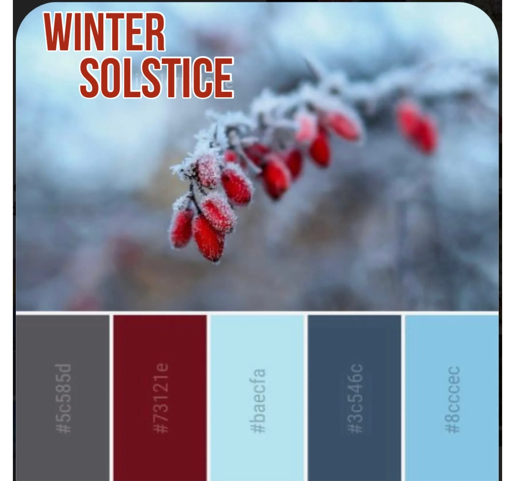 Winter Solstice Minis